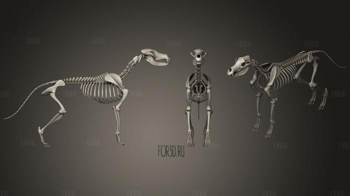 Dog Skeleton 3d stl модель для ЧПУ